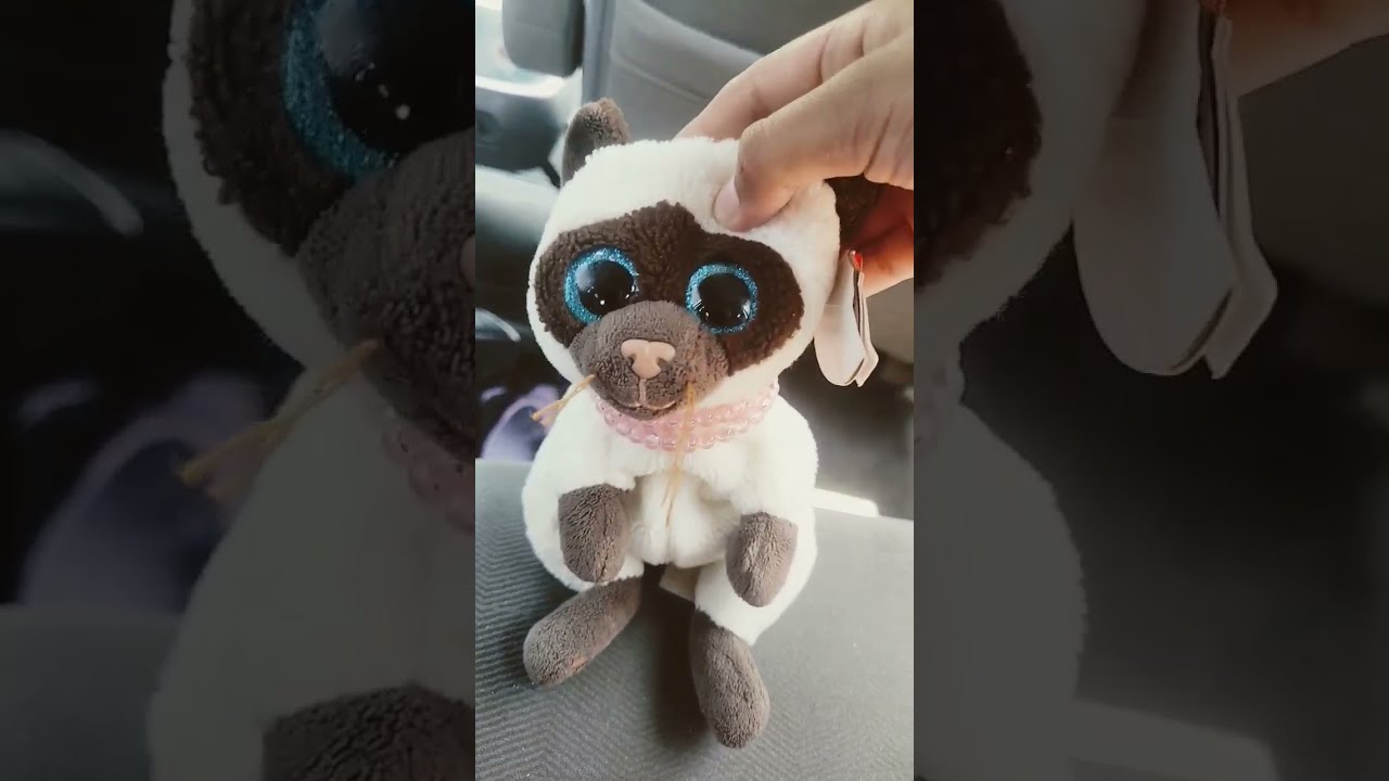 Miso Dancing Beanie Boo Video