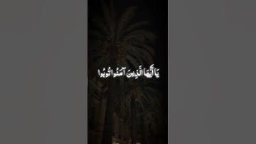 تلاوه من سورة التحريم|بصوت الشيخ ياسر الدوسري🎧♥️#trending #quran #قران_كريم #راحة_نفسية #قرآن