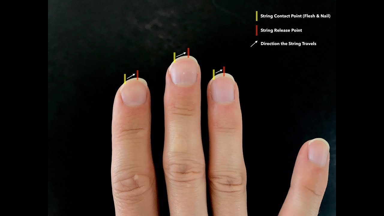 Fingernail Reading Chart