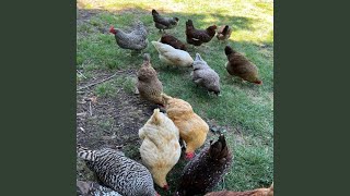 Download Lagu Cintaku Luar Biasa MP3