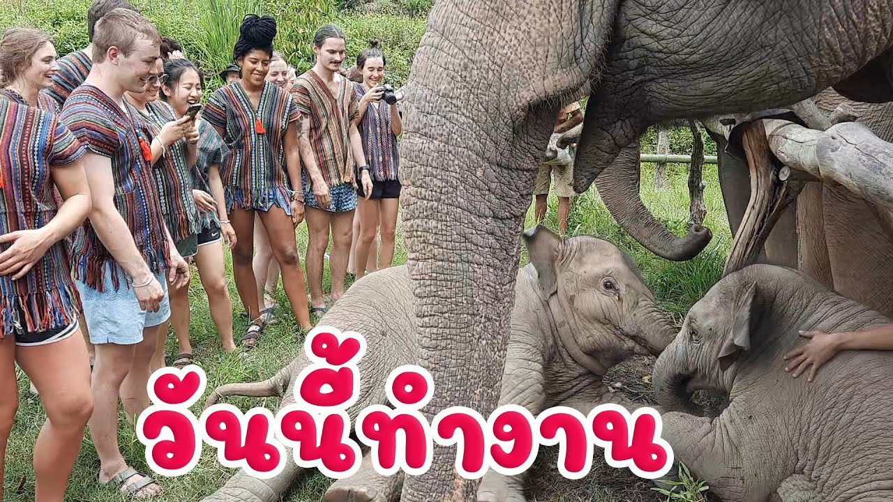 น้องจูเนียร์ น้องต้นหนาว ต้อนรับพี่ๆนักศึกษาจาก มหาลัยเชียงใหม่ - น้องจูเนียร์ Family