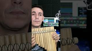 Flauta Pan instrumental/Um Certo Galileu,Pe Zezinho