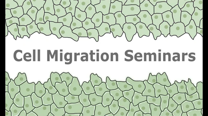 Cell Migration Seminar #10: Matthias Krause & Greg...