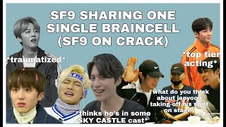 sf9 sharing a single braincell (sf9 on crack)