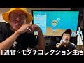 【実写】1週間新作のトモコレ生活をしたら初恋のあの子や専業さんが出演し賑やかな島になった
