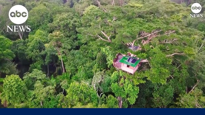 Is This Rainforest Treehouse The World S Coolest Classroom