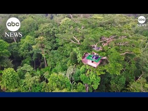Is this rainforest treehouse the world's coolest classroom?