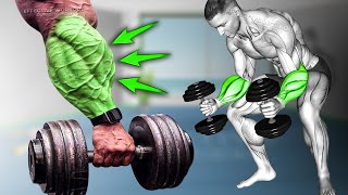 Build Forearms Fastest using Dumbbell Only (5 Effective Exercise)