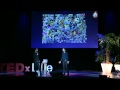 Innovation et design par le biomimétisme | Guillian Graves & Michka Mélo | TEDxLille