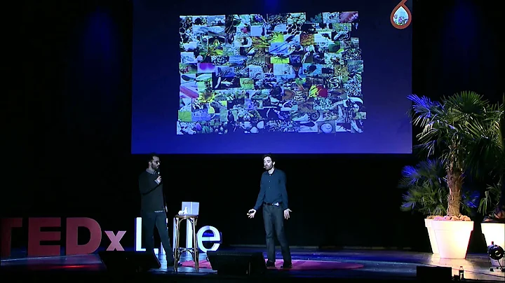 Innovation et design par le biomimtisme | Guillian...