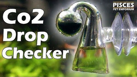Pisces How-To: CO2 Drop Checker