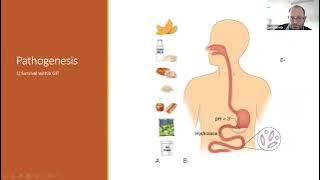 Listeria - Lior Chernick