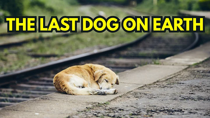 Posthuman Dogs: How They Would Survive Without Us