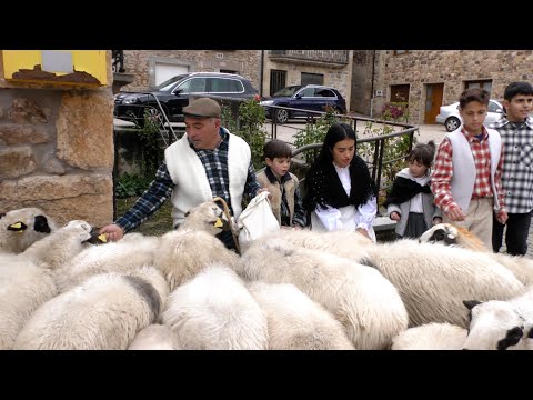 Despedida de los pastores hacia la trashumancia -  Tolbaños de Arriba 2025
