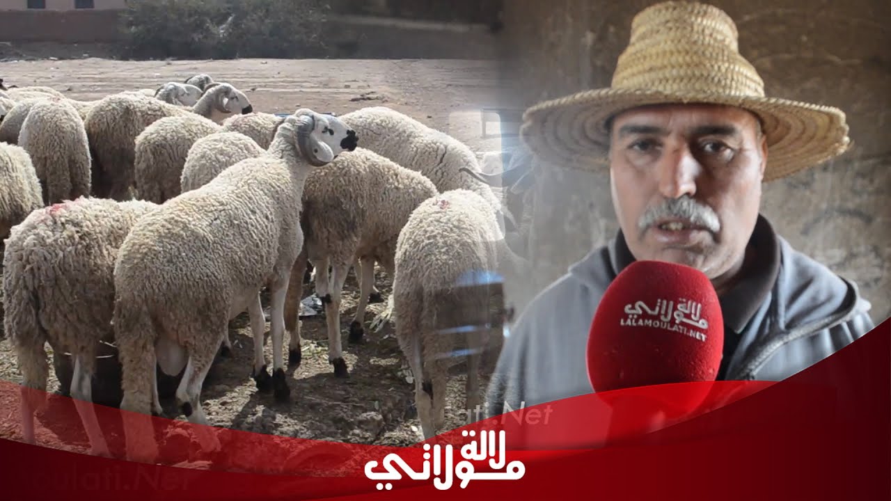 كساب يفجرها بعد قرار إلغاء الأضحية 