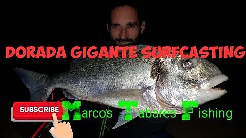 DORADA GIGANTE NOVIEMBRE SURFCASTING CDIZ 2019. MA...
