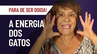 A ENERGIA DOS GATOS, NOSSOS PROTETORES ESPIRITUAIS | MARCIA FERNANDES | PARA DE SER DOIDA!