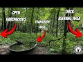 3 Strategic Water Hole Locations for More Daylight Buck Movement