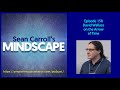 Mindscape 158 | David Wallace on The Arrow of Time