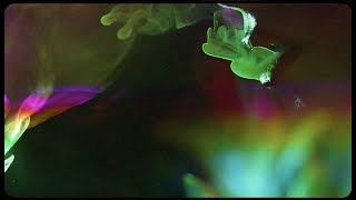 Effie - Lost My Mind (Visualizer)