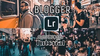 LIGHTROOM EDITING TUTORIAL|Malayalam  TUTORIAL|FREE PRESET BLOGGER... screenshot 5