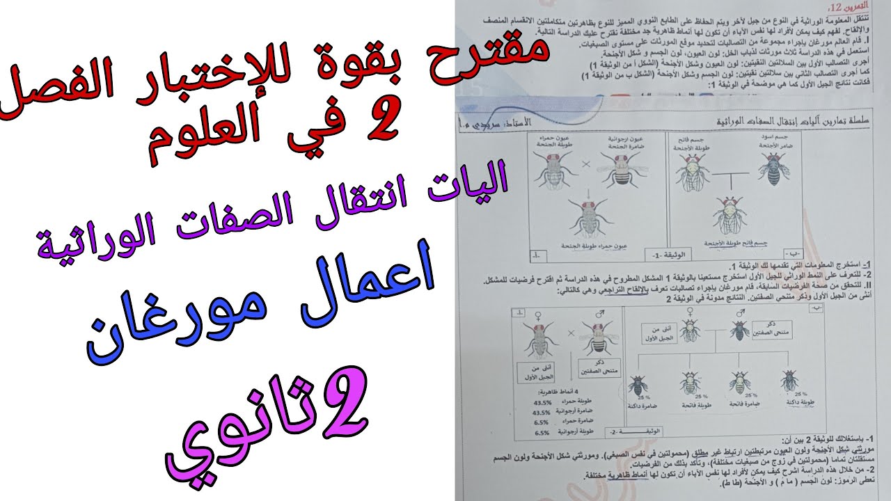 مقترح بقوة للإختبار الفصل 2 العلوم للسنة الثانية ثانوي حول اليات انتقال الصفات الوراثية/اعمال مورغان