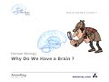 Why we have a brain