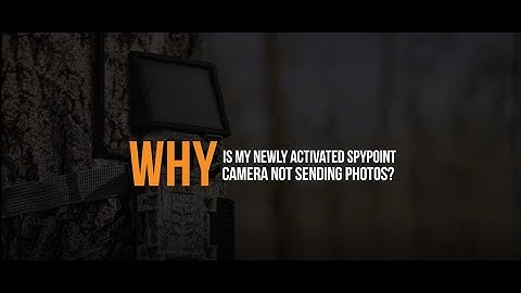 Why is my Newly Activated SPYPOINT Camera Not Sending Photos? | SPYPOINT
