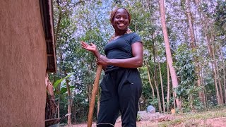 🌺 REAL Village Life Magic// Hibiscus Morning & All-Day Kitchen Transformation