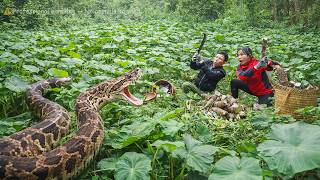 Famous 72-Hour Escape - Farmer Faces Giant Python Attack While Harvesting Yam Profile