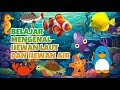 BELAJAR MENGENAL HEWAN LAUT, HEWAN AIR, PENYU, GURITA, KUDA LAUT, IKAN BADUT, LELE, IKAN HIU, BUNTAL