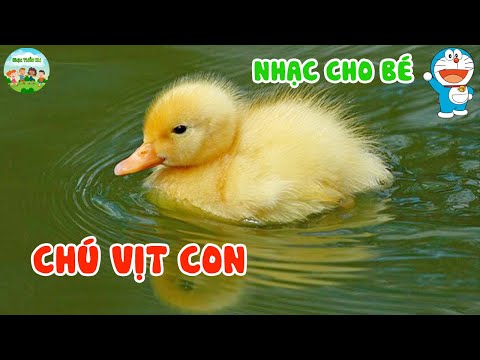 Video Chú vịt con ???? Con heo đất ???? Con cào cào ???? Nhạc... - youtube