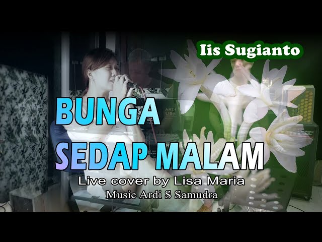 Bunga sedap malam - Iis Sugianto (Live cover by Lisa Maria) class=