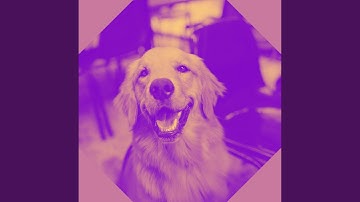 Modish Backdrops for Memories