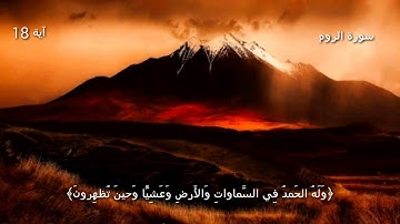 قرآن كريم بصوت القارئ: فارس عباد || أجمل حالات واتس اب دينيه || تلاوة خاشعة 🌿