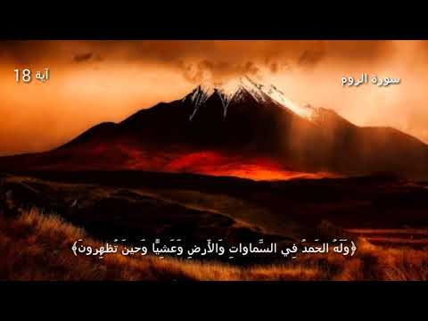 قرآن كريم بصوت القارئ فارس عباد أجمل حالات واتس اب دينيه تلاوة خاشعة 