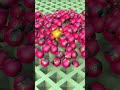 Brainrot Face Ball Falling 146 😱 #roblox 🔥