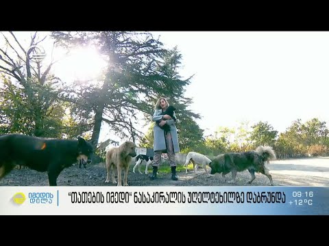 დაბრუნება ძაღლების სასაკლაოდ ცნობილ ნასაკირალის უღელტეხილზე