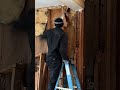 Insulation infested with MICE!!!
