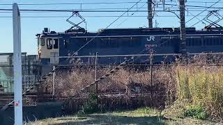 1091レ〜4097レ千葉貨物EF65PF原色2074号機