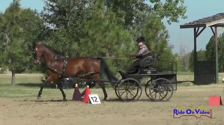 059C Theresa LaVoie Preliminary Single Horse Cones...