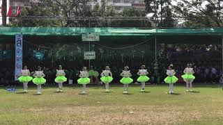 นีน ป5/8 16112018