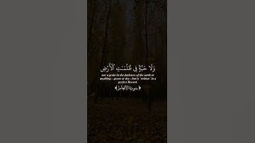 أكتب شيء يشفعلك وتؤجر عليه🕊.  القارئ: ماجد الزامل.#قران #قران_كريم #قرآن_كريم #quran #islam #muslim