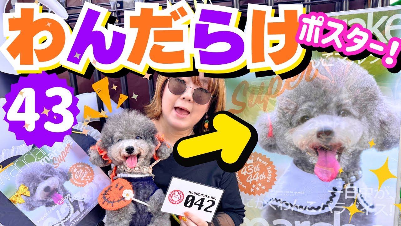 【驚愕】最初で最後のわんだらけ🐶日本最大ドッグマルシェで愛犬が大変な事に！in名古屋港ガーデン埠頭【わんだらけ43】【wandarake】