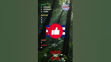 Can YOU Guess the Flag? FUN Challenge to Test Your Knowledge! #fun #shorts #countryquiz #quiz