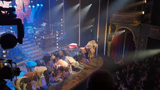 Karis Anderson, Curtain Call and bows, Tina the Musical 07/12/2023