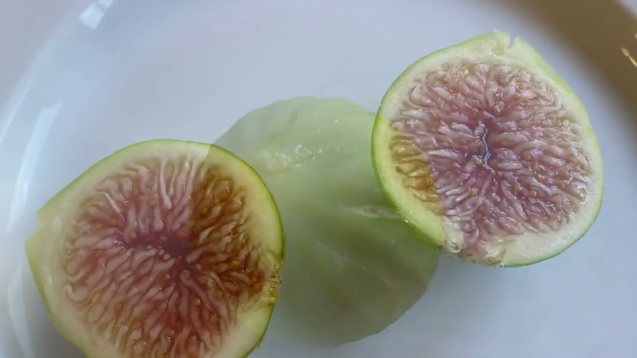 #15 My very first vine ripe Peter’s Honey