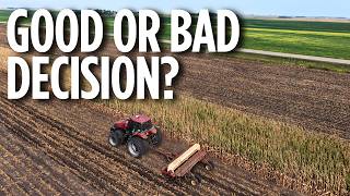 Gambling With Cover Crops After Corn Silage In A Drought... Will It Pay Off???