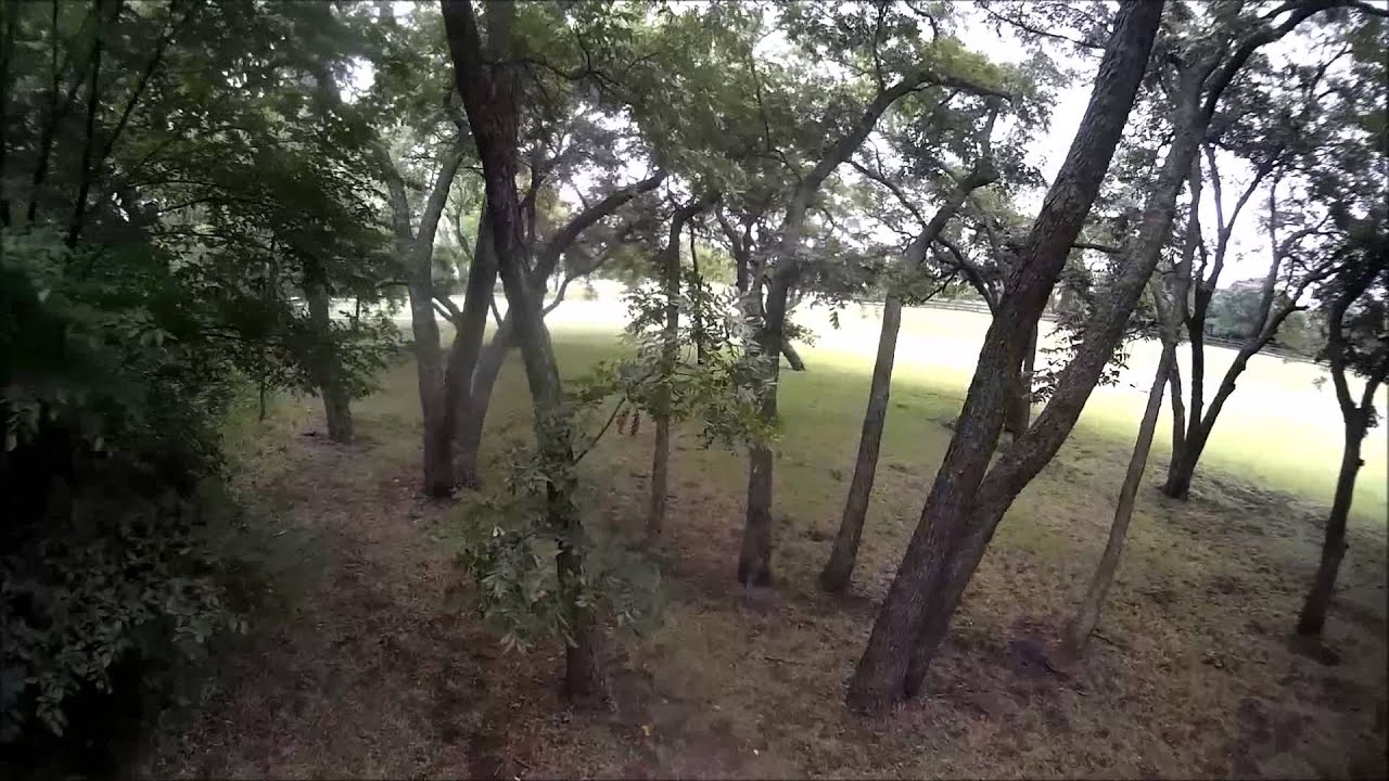 Tree Top Traverse // BlackOut MiniH