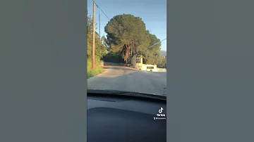 في حزن وسع المدى 